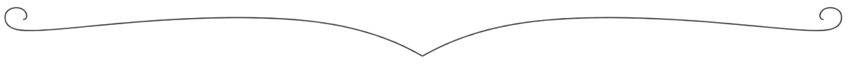 Decorative divider